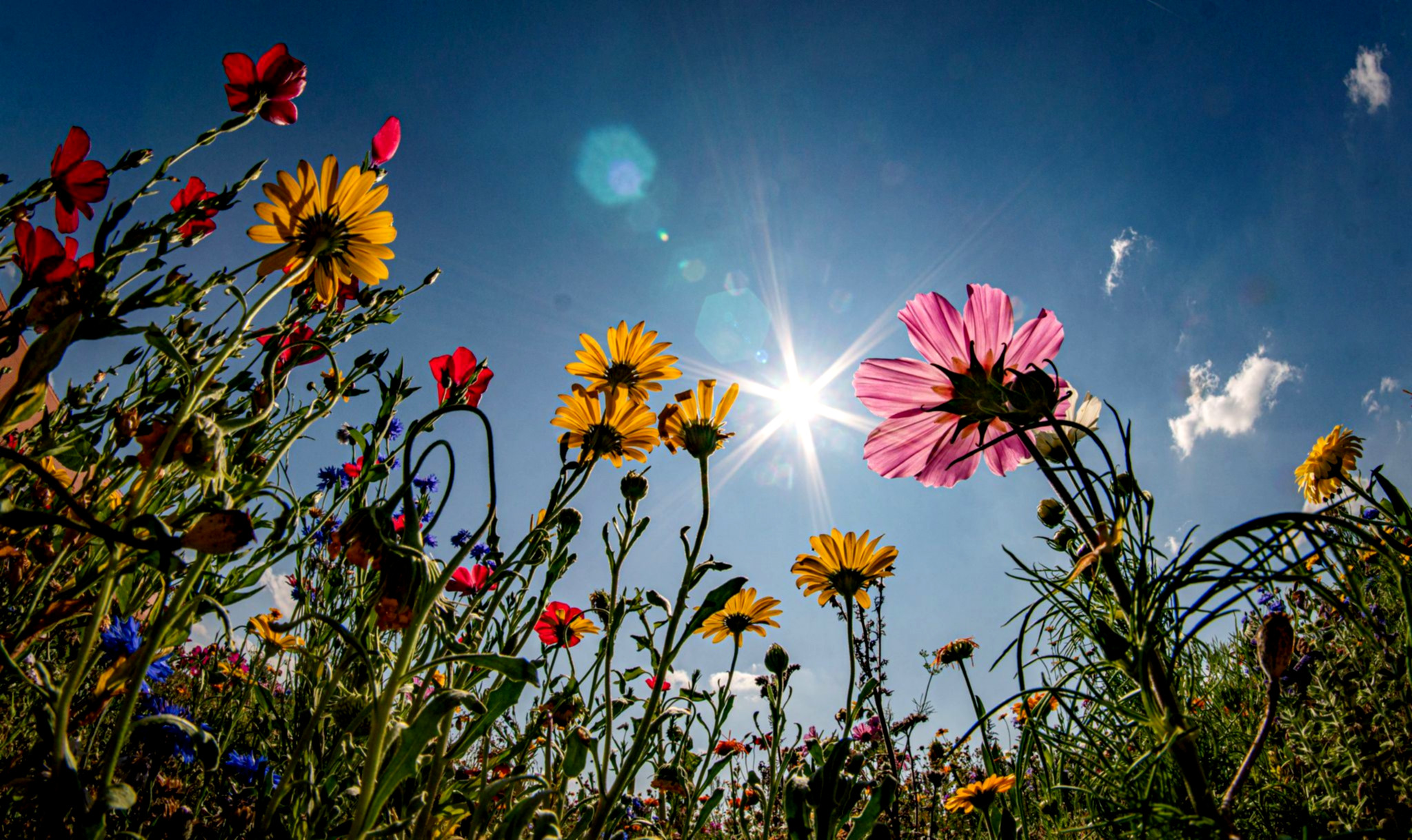 Sonnenschein über Bayern, Menschen genießen.